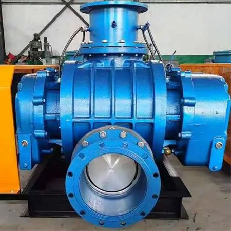 Roots Air Blower
